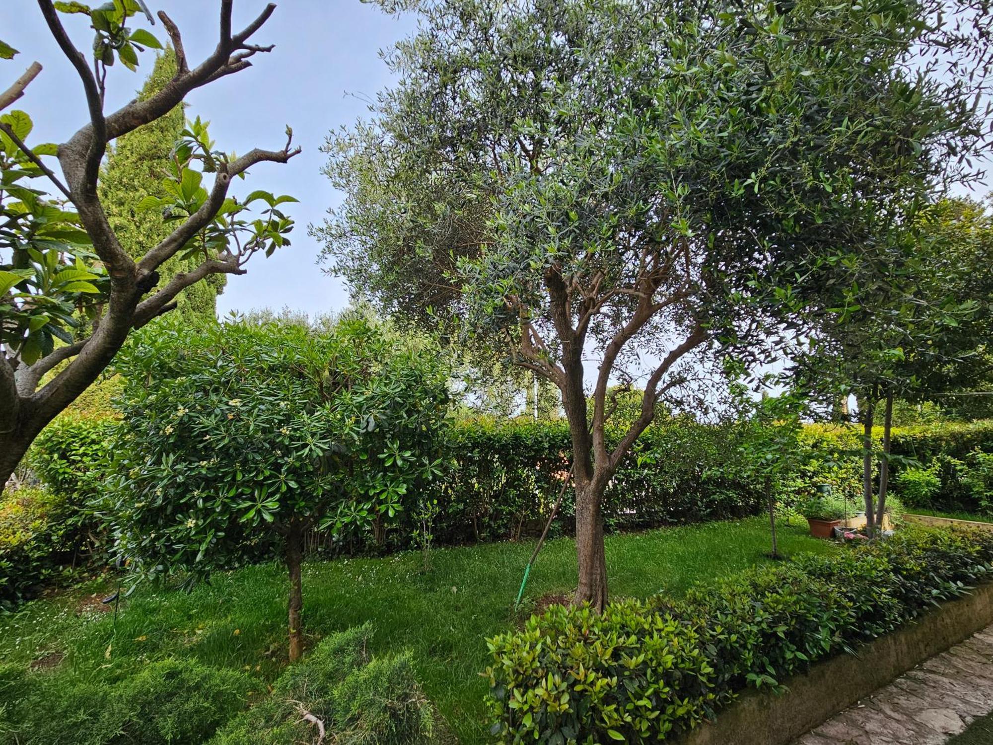 Zita - Heart Of Rovinj, Apartment For 2, Free Parking, 2Min Center, 5Min Beach Walk Luaran gambar